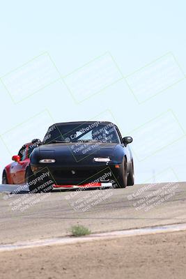 media/Jul-26-2025-Speed Ventures (Sat) [[fe569e6cf0]]/Purple Group/Grapevine/
